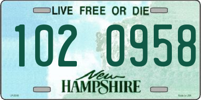 NH license plate 1020958