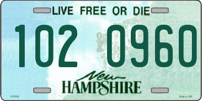 NH license plate 1020960