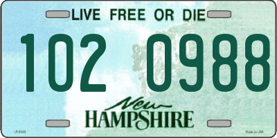 NH license plate 1020988