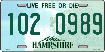 NH license plate 1020989