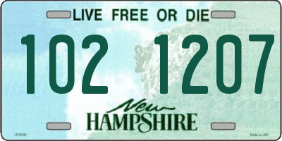 NH license plate 1021207