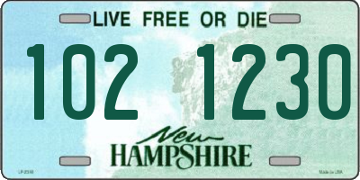 NH license plate 1021230