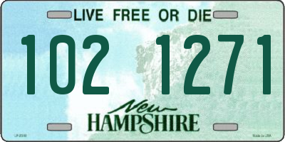 NH license plate 1021271