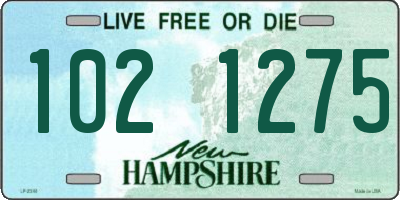 NH license plate 1021275