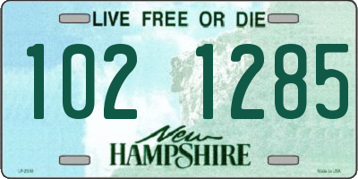 NH license plate 1021285