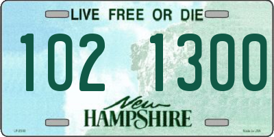 NH license plate 1021300