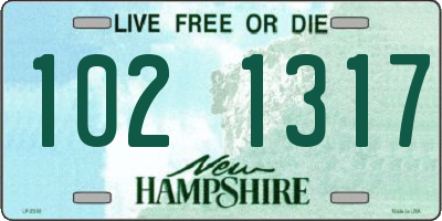 NH license plate 1021317