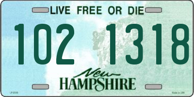 NH license plate 1021318