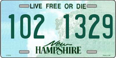 NH license plate 1021329
