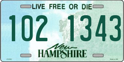 NH license plate 1021343