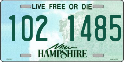 NH license plate 1021485