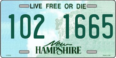 NH license plate 1021665