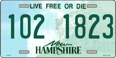 NH license plate 1021823