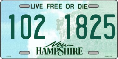 NH license plate 1021825