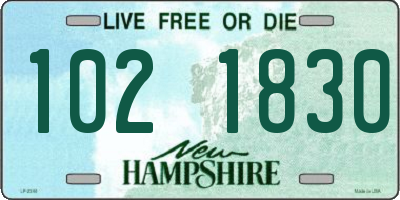 NH license plate 1021830