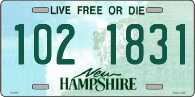 NH license plate 1021831