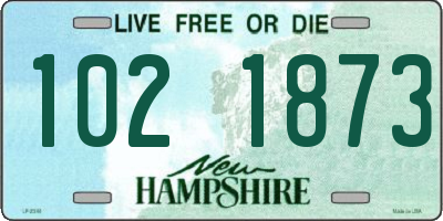 NH license plate 1021873