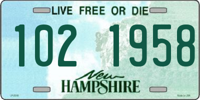NH license plate 1021958