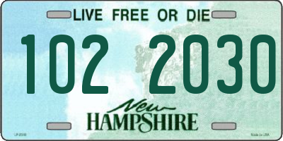 NH license plate 1022030
