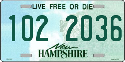NH license plate 1022036