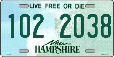 NH license plate 1022038