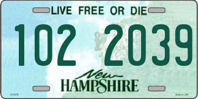 NH license plate 1022039