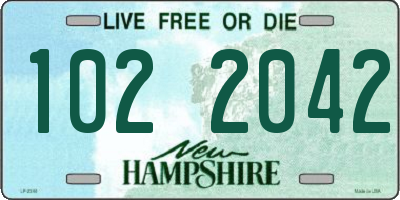NH license plate 1022042