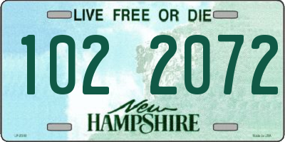 NH license plate 1022072