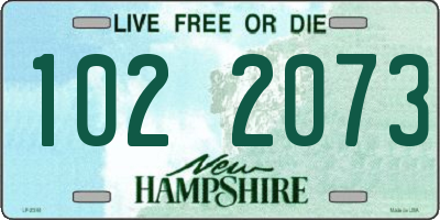 NH license plate 1022073