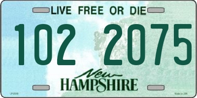 NH license plate 1022075