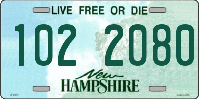 NH license plate 1022080