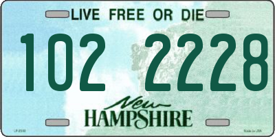 NH license plate 1022228