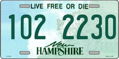 NH license plate 1022230