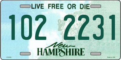 NH license plate 1022231