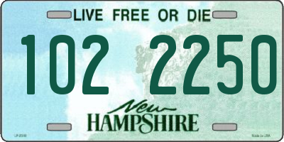 NH license plate 1022250