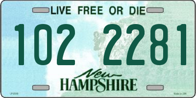 NH license plate 1022281