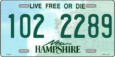 NH license plate 1022289