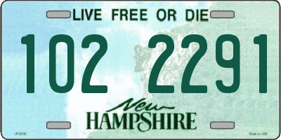 NH license plate 1022291