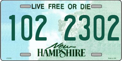 NH license plate 1022302