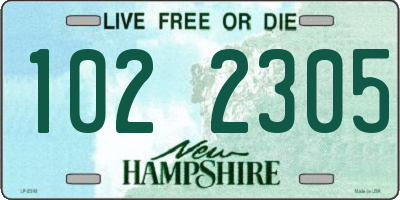 NH license plate 1022305