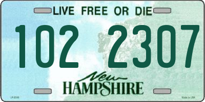 NH license plate 1022307