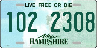 NH license plate 1022308