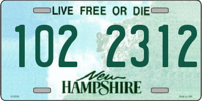 NH license plate 1022312