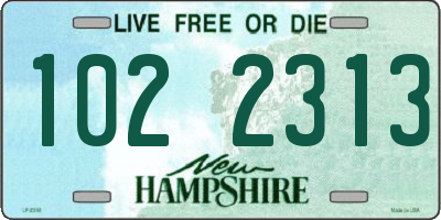 NH license plate 1022313