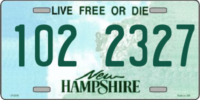 NH license plate 1022327