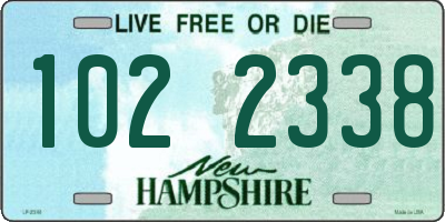 NH license plate 1022338