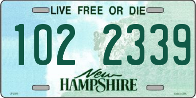 NH license plate 1022339