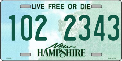 NH license plate 1022343