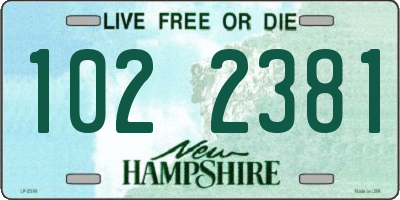 NH license plate 1022381