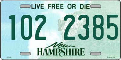 NH license plate 1022385